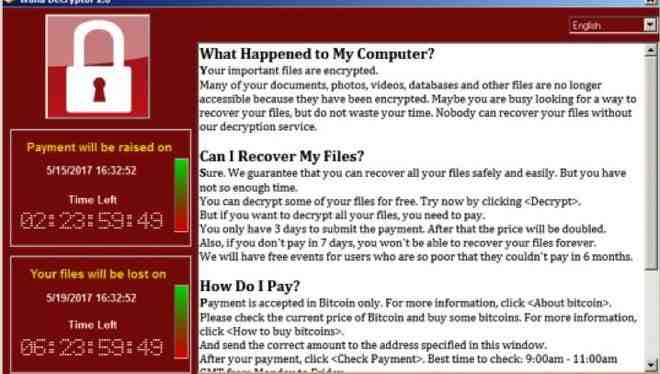 What percentage of ransomware victims pay the ransom Norton?